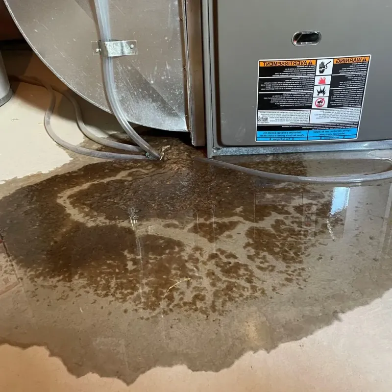 Pipe Burst and Leak Restoration in Tallaboa Alta, PR